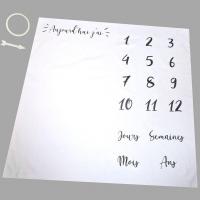 Calendrier evolution bebe fille garcon naisssance bois