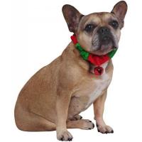 Collier chien noel vert rouge gros grelot