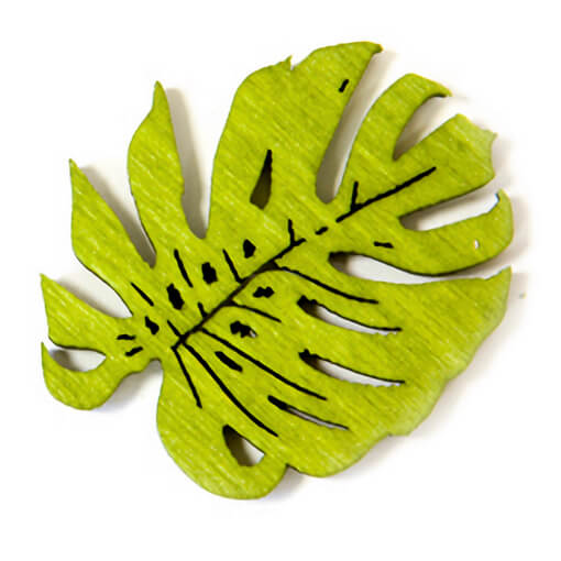 Confettis de table en bois philodendron vert