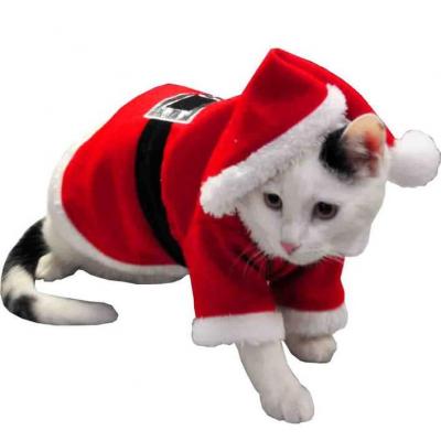Costume noel chat chien manteau bonnet rouge et blanc