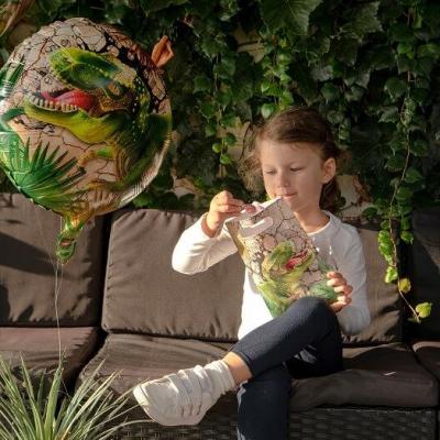 Decoration anniversaire ballon aluminium dinosaure t rex 45cm