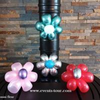 Decoration ballons latex mini fleur harnes nord pas de calais