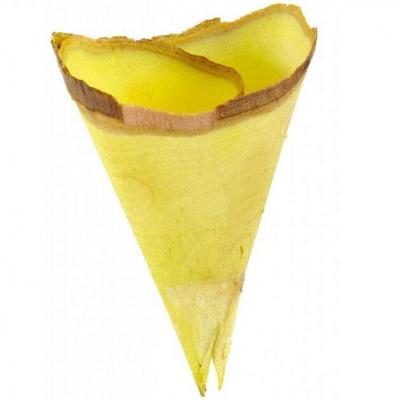 Decoration champetre nature cornet bois vert