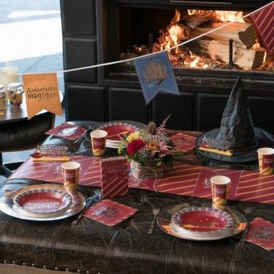 Assiette en carton l anniversaire magique harry le sorcier