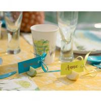 Decoration de table avec marque place bleu turquoise