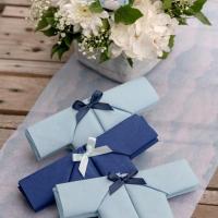 Decoration de table avec serviette airlaid bleu pale