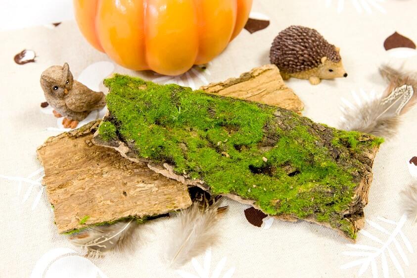 Decoration de table mousse verte et ecorce