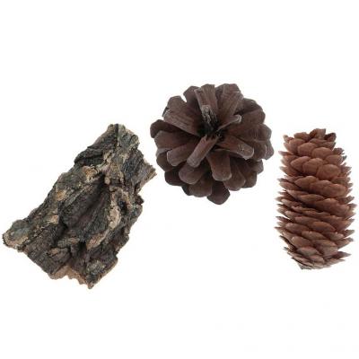 Assortiment nature Champêtre pour décoration de table festive (x9) REF/7430