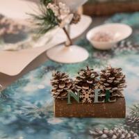 Decoration de table noel givre sur buche en bois et pomme de pin