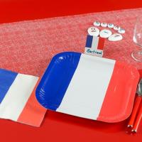 Decoration de table serviette france tricolore