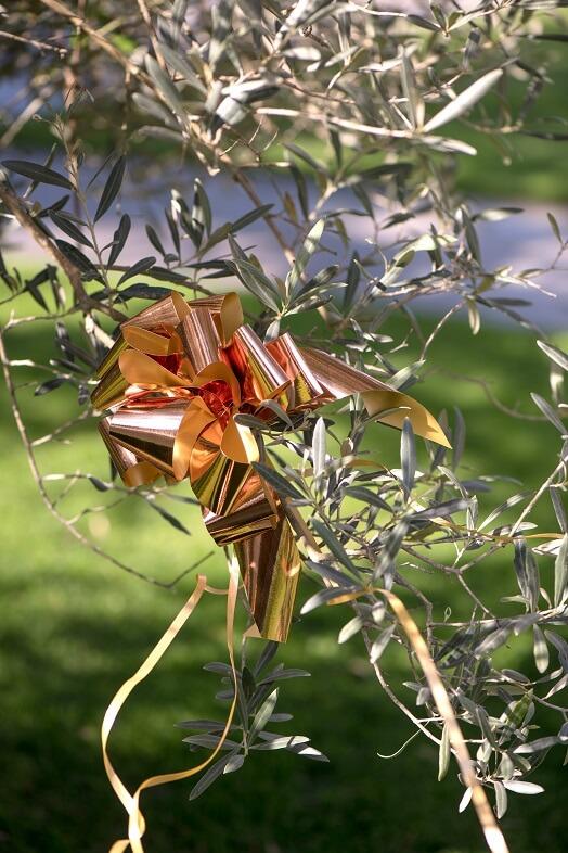 Decoration exterieur mariage noeud automatique rose gold en 30mm