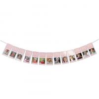 Decoration guirlande photo rose evolution bebe