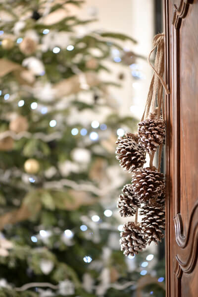 Decoration hivernal naturelle