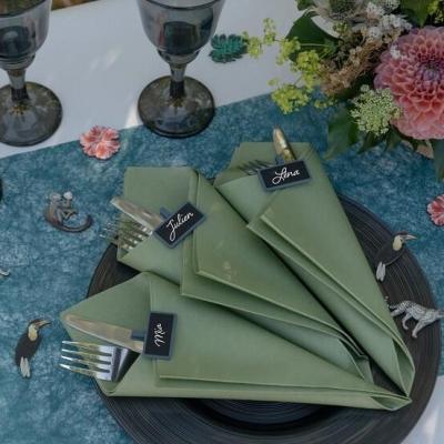 Decoration pliage de serviette noel champetre vert olive sauge