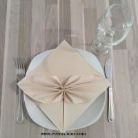 Decoration pliage de serviette elegant airlaid ivoire