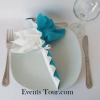 Decoration pliage de serviette palmier blanc et bleu turquoise