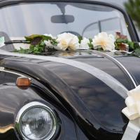 Decoration voiture mariage beige noeud automatique