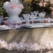 Prestation de service avec décoratrice pour votre fête en Nord Pas-de-Calais REF/PES-306