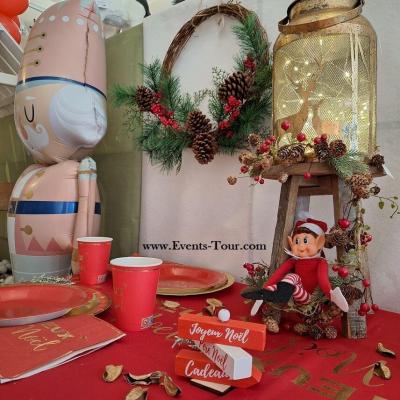Dek0732 decoration nature champetre naturel sepale de coton