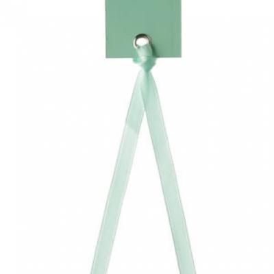 Etiquette rectangle mint avec ruban