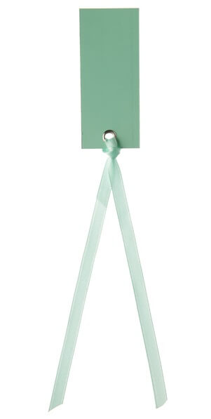 Etiquette rectangle mint avec ruban