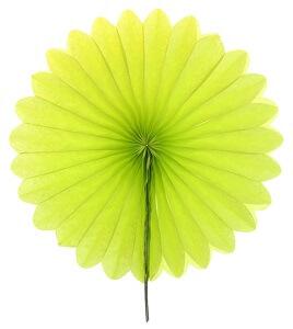 Eventail 20cm vert