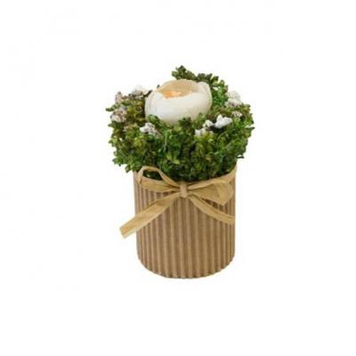 Fde160b centre de table fleurs sechees renoncule dans un pot en kraft