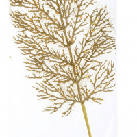 Feuille de fougere or 1