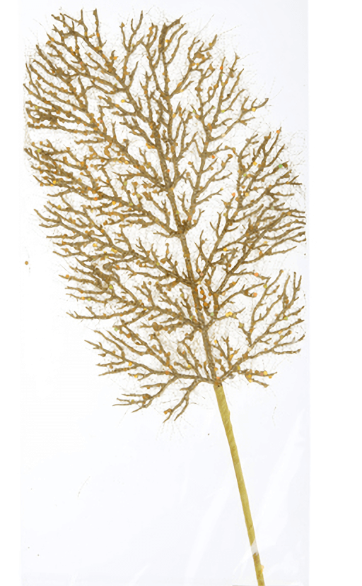 Feuille de fougere or 1