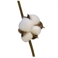 Fgu4018 guirlande de fleurs de coton artificielle