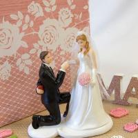 Figurine gateau mariage couple de maries cage d amour