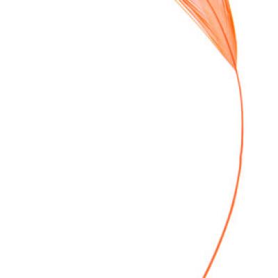 Fine plume orange (x10) REF/4090