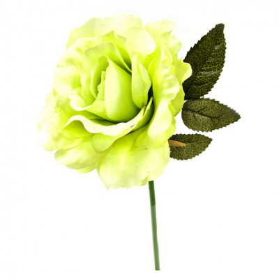 Fleur: Rose ancienne verte et crème 33cm (x1) REF/FTG3003