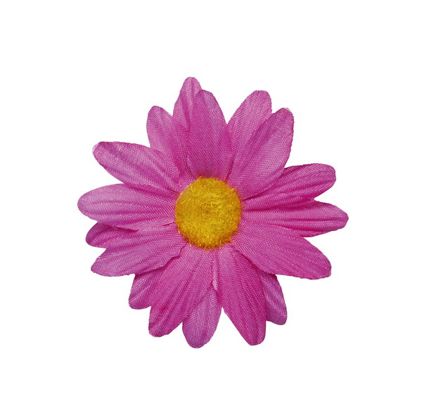 fleur-sans-tige-fuchsia.jpg