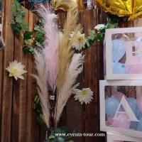 Fleur sechee herbe de pampa rose