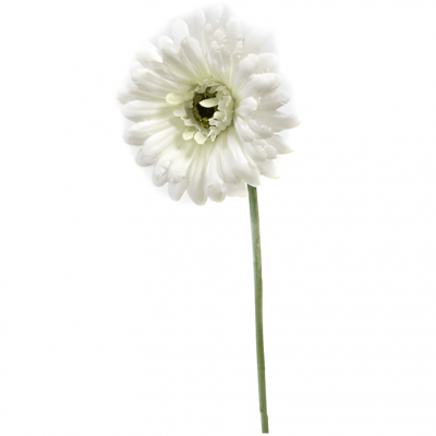 1 Gerbera blanche de 55cm pour votre décoration de table avec des fleurs REF/FTG2005