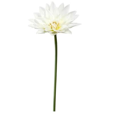 1 Grande tige d'une fleur de Lotus crème et verte de 78cm REF/FTG2039