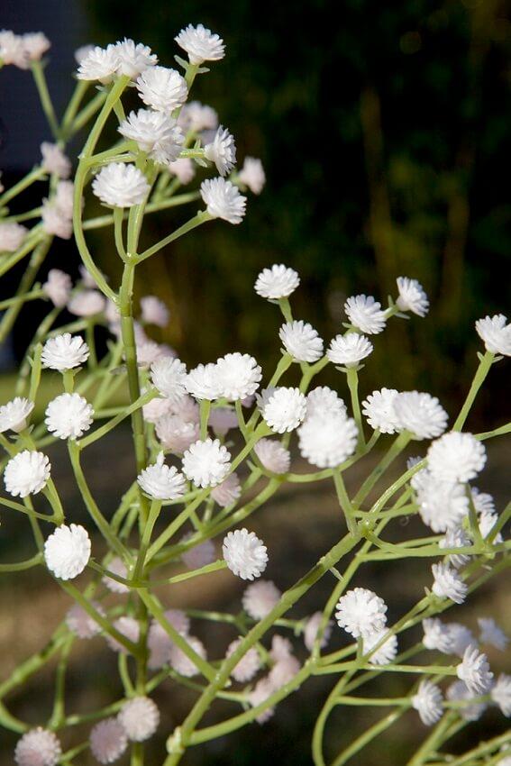Ftg2045 decoration fleur gypsolphile blanc et vert 65cm