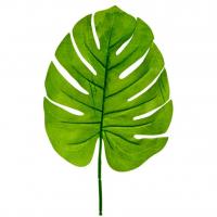 Ftg2066 grande feuille verte de philodendron