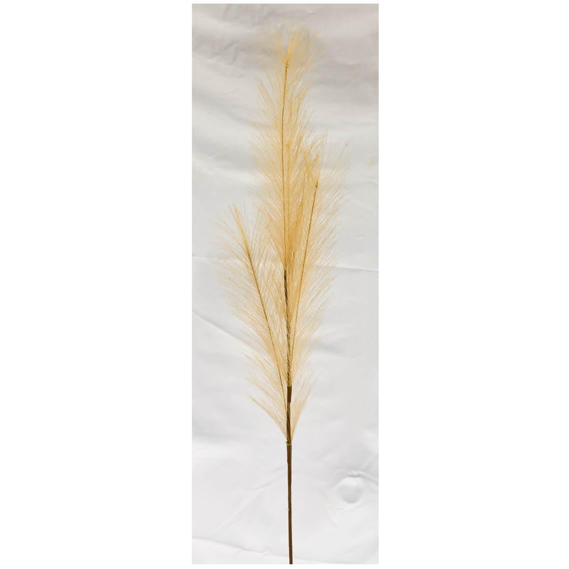 Ftg2091 decoration fleur sechee herbe de pampa naturel