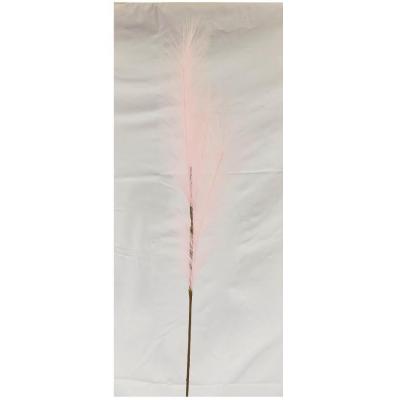 Fleur sechee herbe de pampa rose