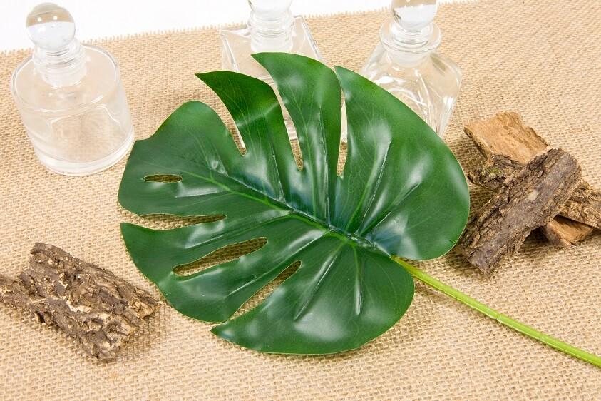 Grande Feuille Verte Tropicale Monstera