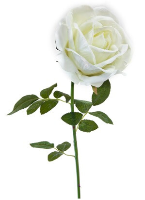 Grande rose velours 85cm