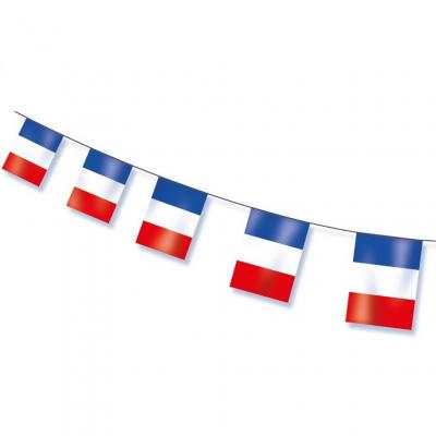 Guirlande fanion banderole france tricolore bleu blanc rouge