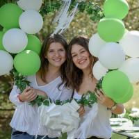 Lierre vert pour decoration de fete