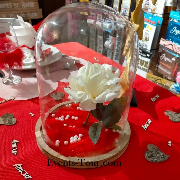 Location decoration centre de table vase cloche