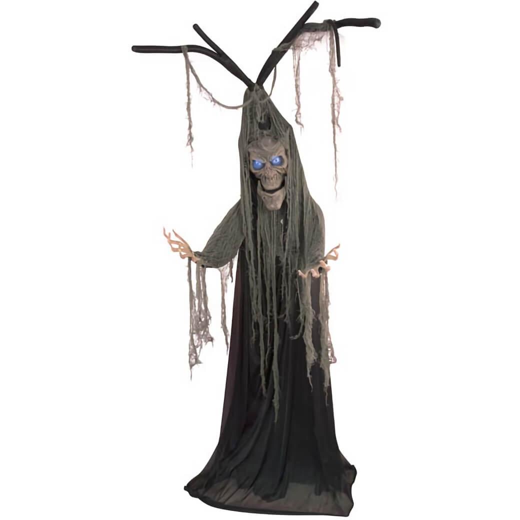 Location halloween arbre hante nord pas de calais