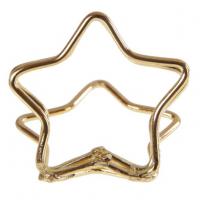 Marque place etoile or 3