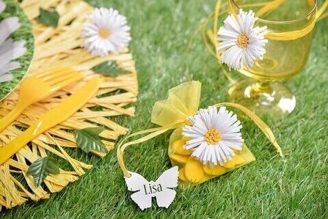 Marque place papllon 1