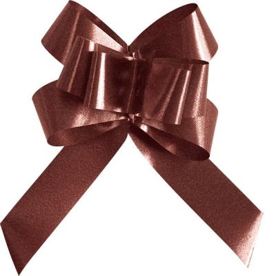 Mini noeud automatique chocolat